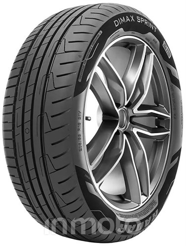 Radar Dimax Sprint 205/55R16 94 V XL FR