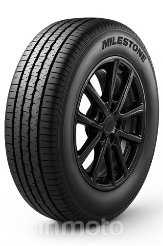 Milestone MZ01V 205/75R16 113/111 R C