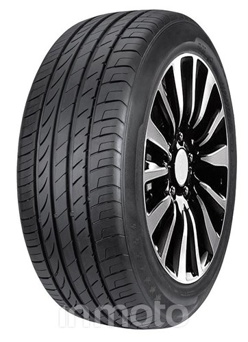 Double Star DU01 205/55R16 94 W XL